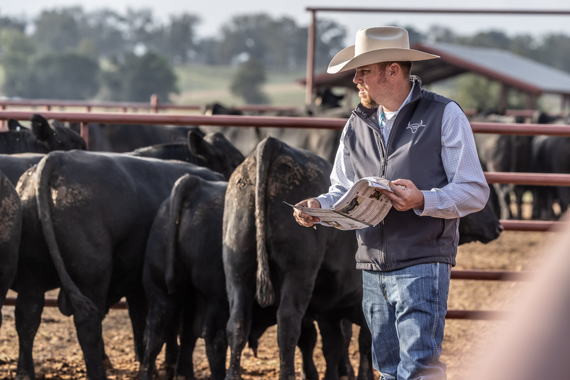 44Farms_Cameron_FallBullSale_Oct2021-519417
