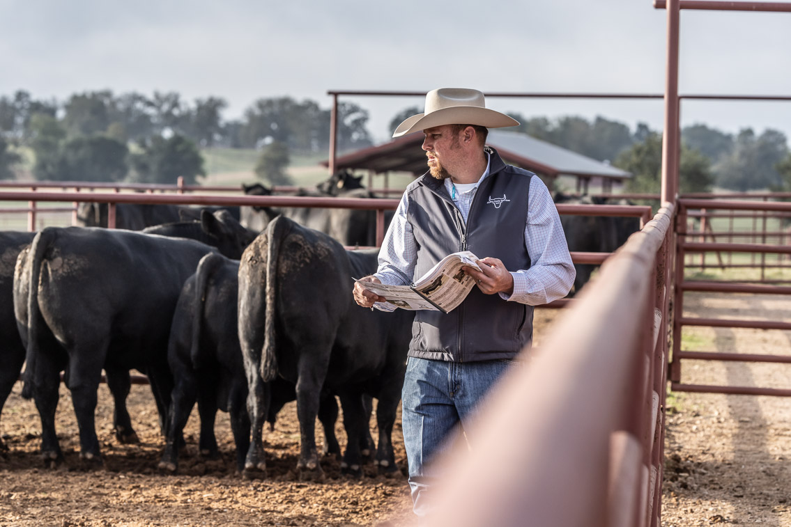 44Farms_Cameron_FallBullSale_Oct2021-519420