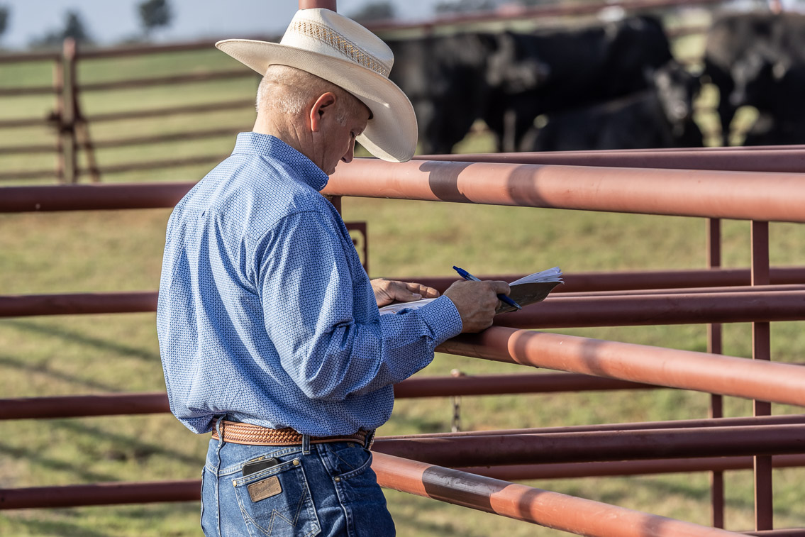 44Farms_Cameron_FallBullSale_Oct2021-519436
