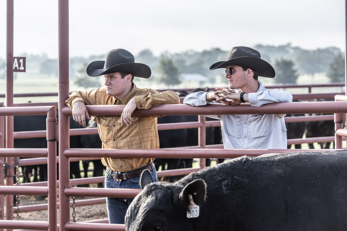 44Farms_Cameron_FallBullSale_Oct2021-519441