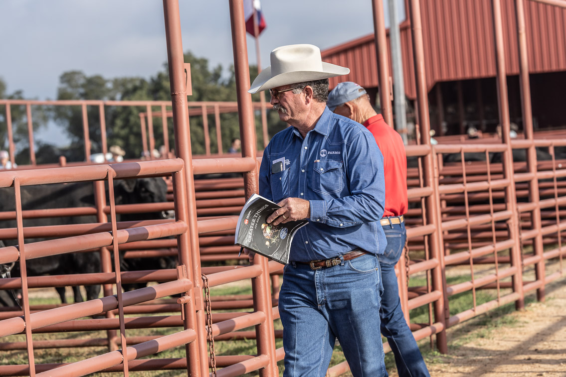 44Farms_Cameron_FallBullSale_Oct2021-519453