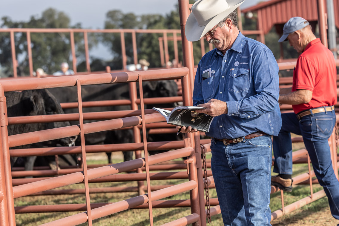 44Farms_Cameron_FallBullSale_Oct2021-519454