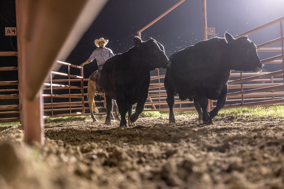 44Farms_Cameron_FallBullSale_Oct2021-523827