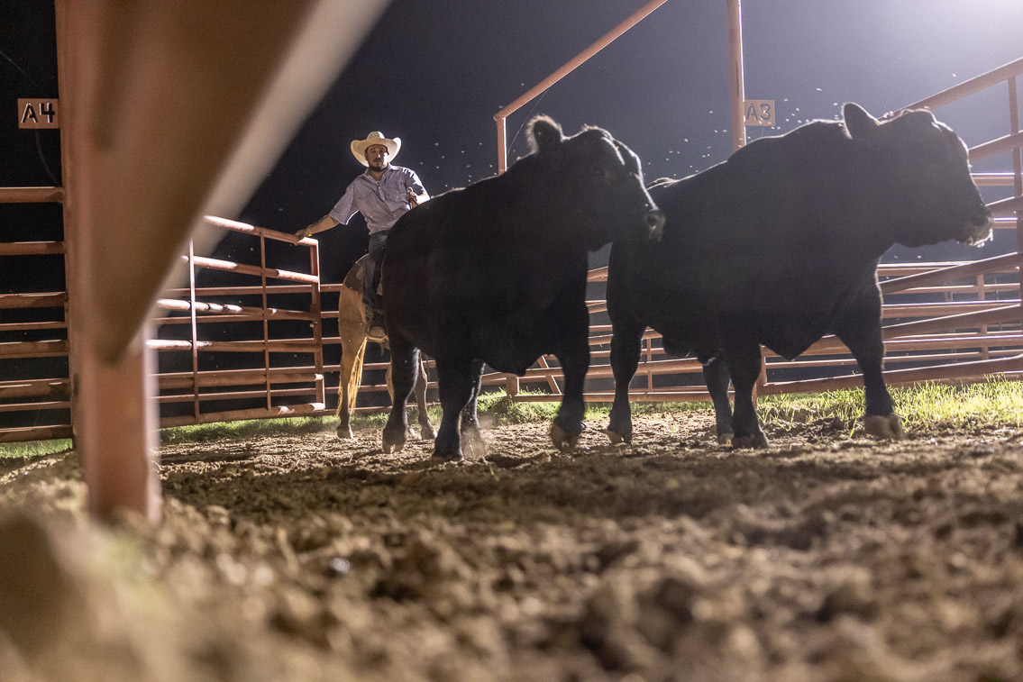 44Farms_Cameron_FallBullSale_Oct2021-523828