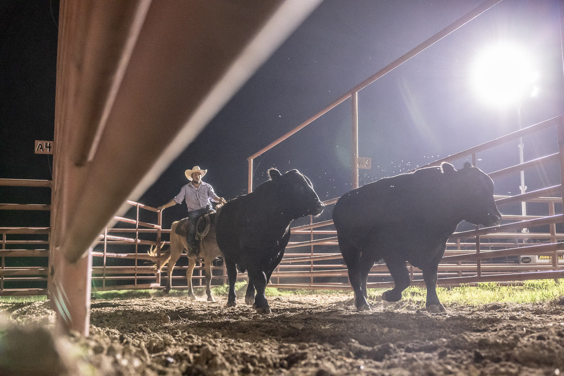 44Farms_Cameron_FallBullSale_Oct2021-523866