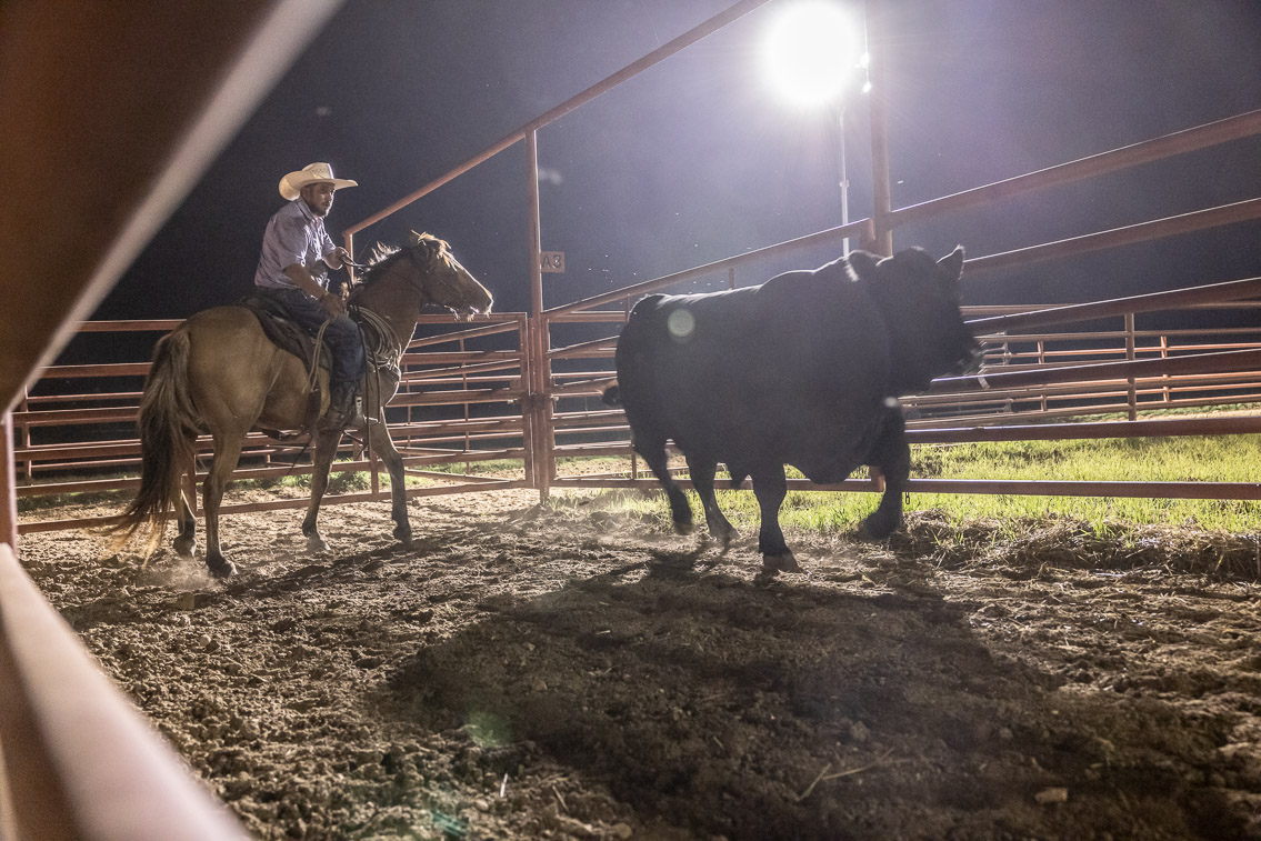 44Farms_Cameron_FallBullSale_Oct2021-523945