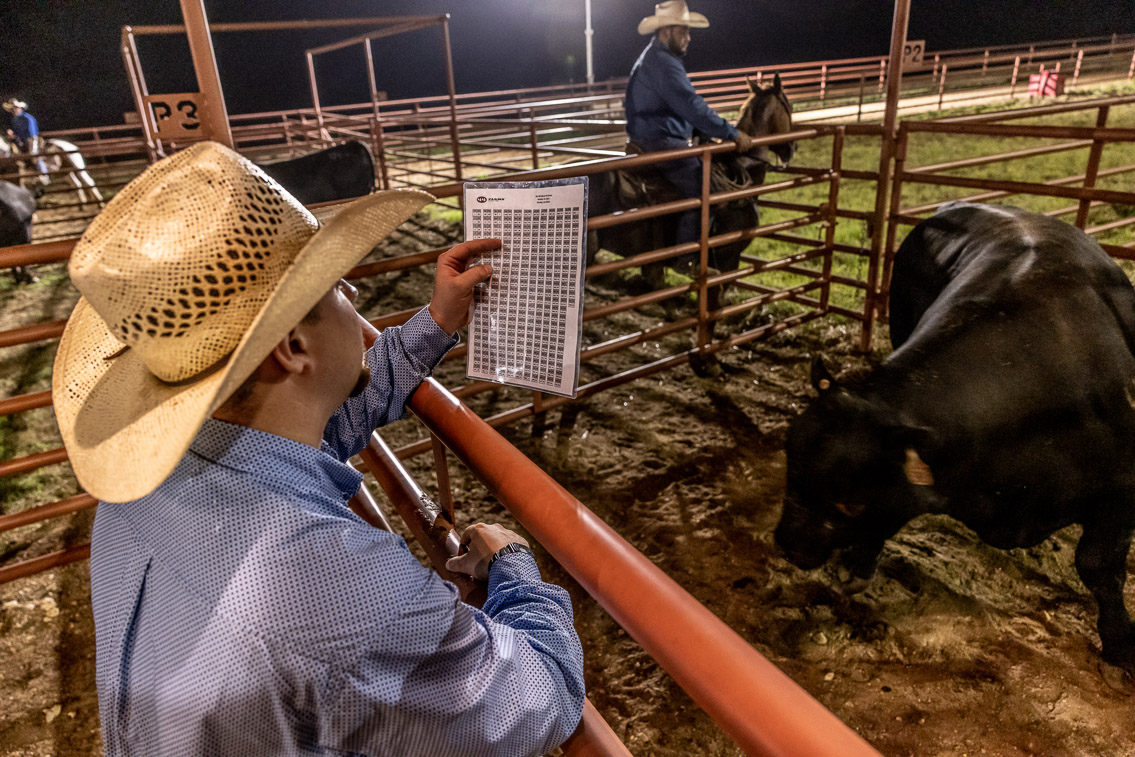44Farms_Cameron_FallBullSale_Oct2021-524146