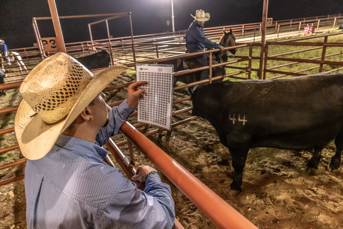 44Farms_Cameron_FallBullSale_Oct2021-524149