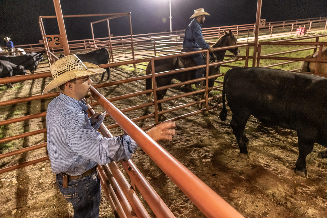 44Farms_Cameron_FallBullSale_Oct2021-524183