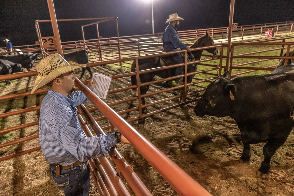 44Farms_Cameron_FallBullSale_Oct2021-524186