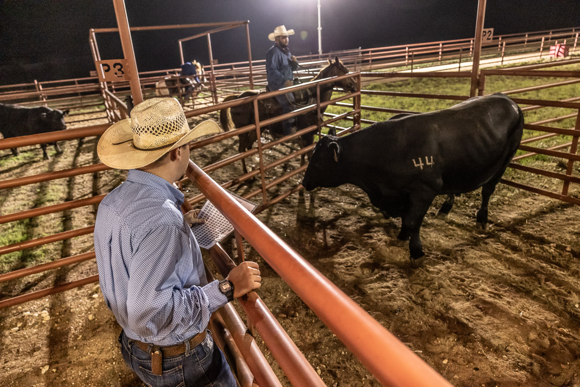 44Farms_Cameron_FallBullSale_Oct2021-524192