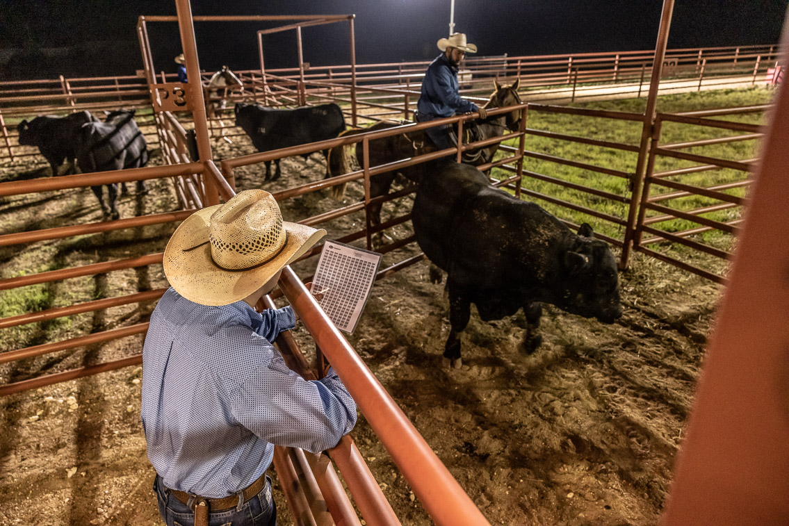 44Farms_Cameron_FallBullSale_Oct2021-524207