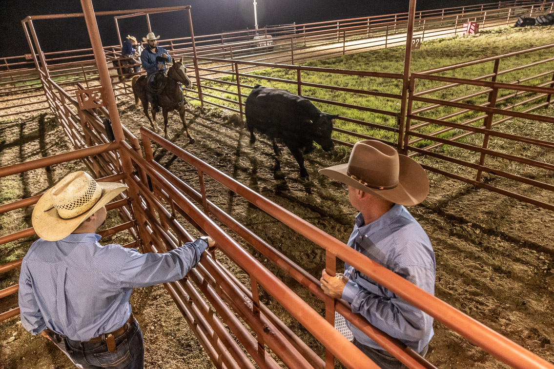 44Farms_Cameron_FallBullSale_Oct2021-524223
