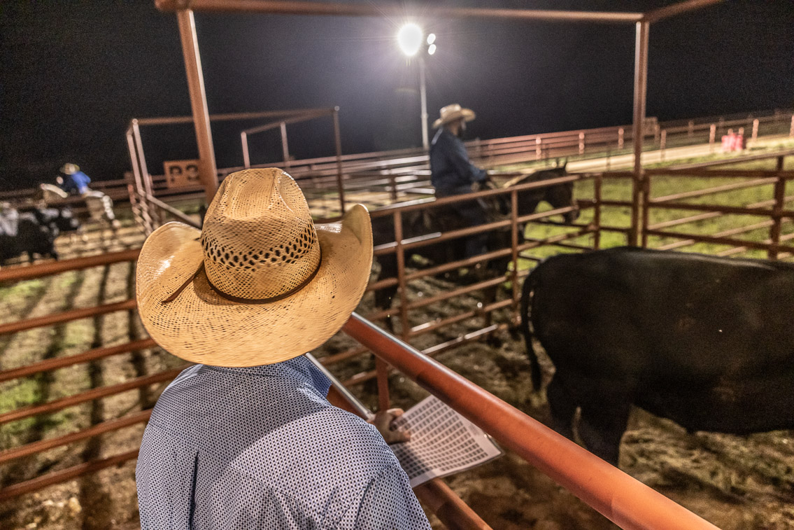 44Farms_Cameron_FallBullSale_Oct2021-524266