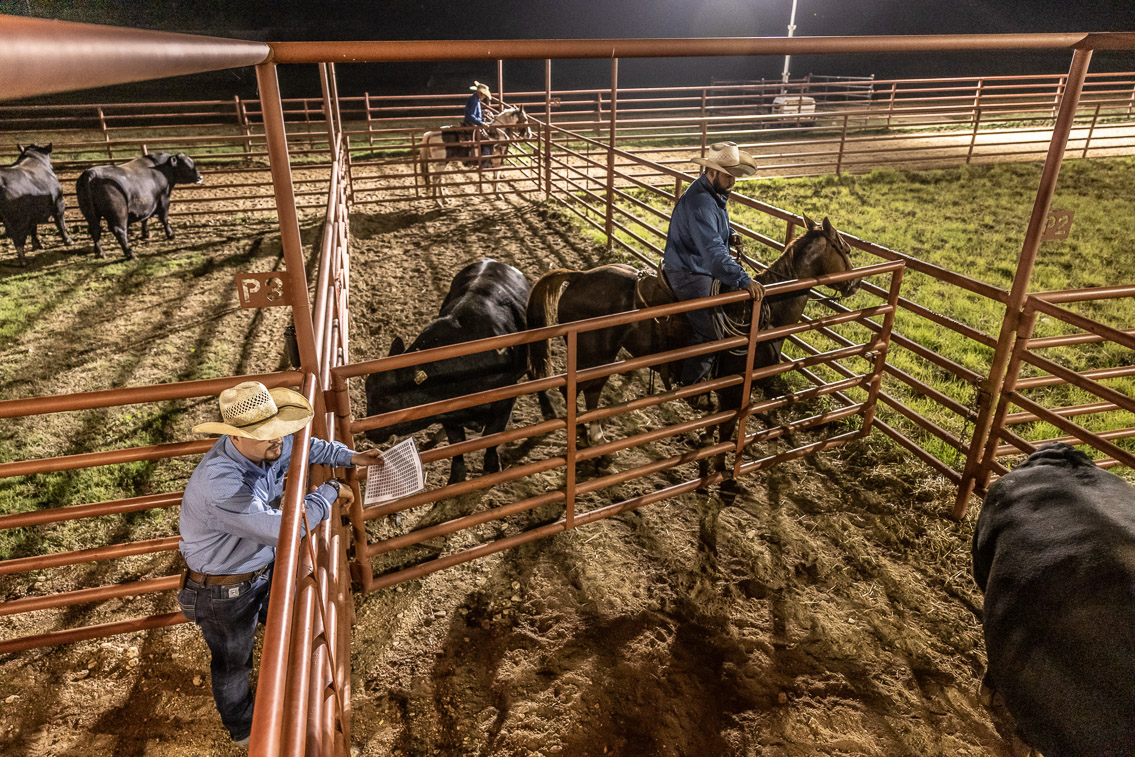 44Farms_Cameron_FallBullSale_Oct2021-524356