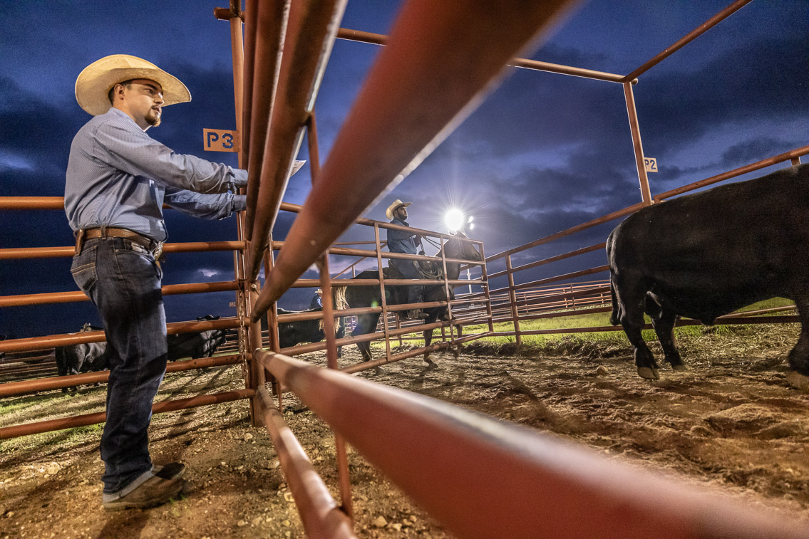 44Farms_Cameron_FallBullSale_Oct2021-524667