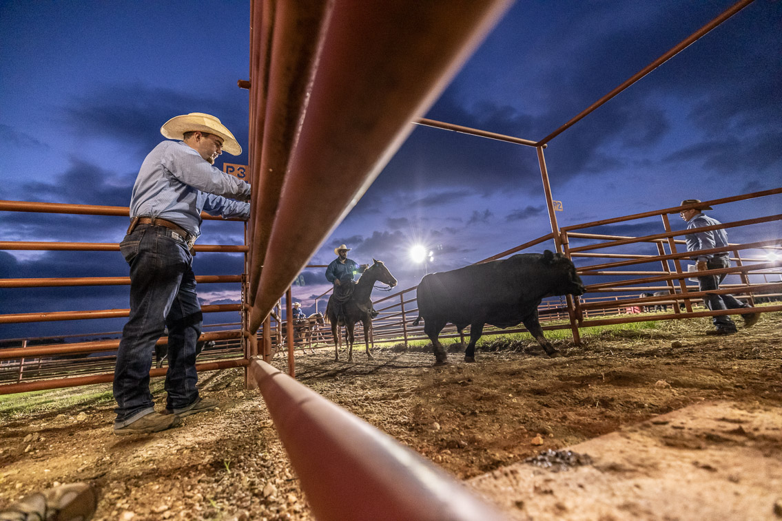 44Farms_Cameron_FallBullSale_Oct2021-524738