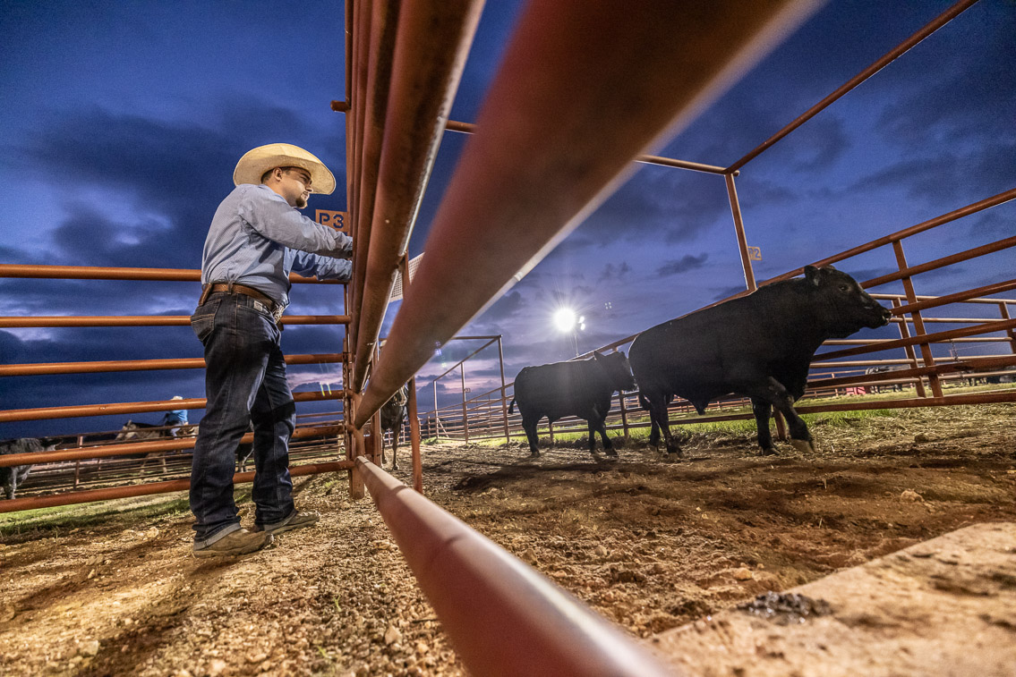 44Farms_Cameron_FallBullSale_Oct2021-524749