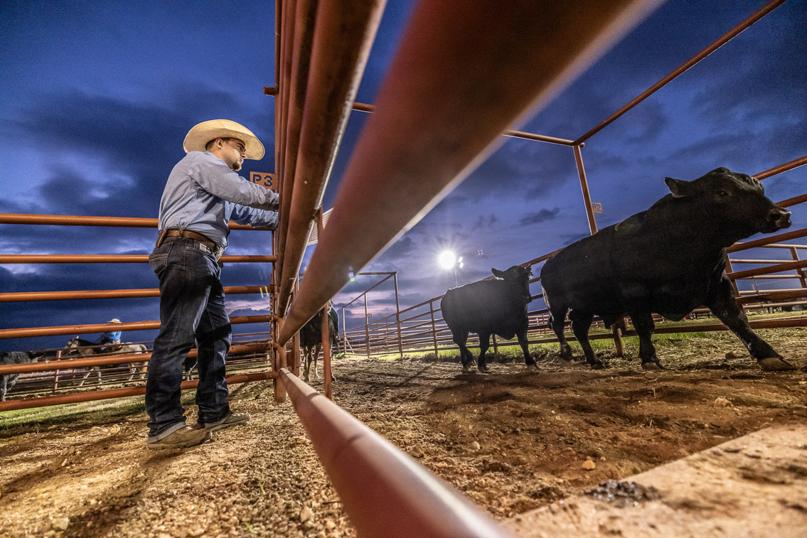 44Farms_Cameron_FallBullSale_Oct2021-524750