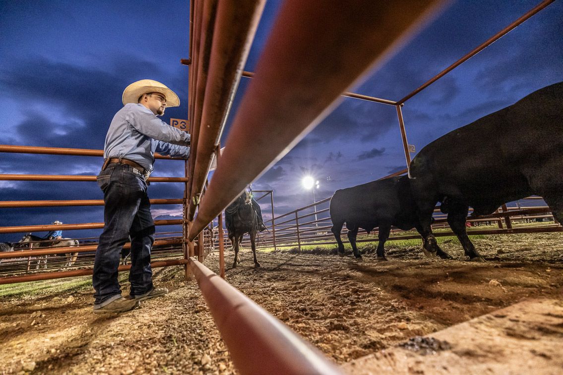 44Farms_Cameron_FallBullSale_Oct2021-524752