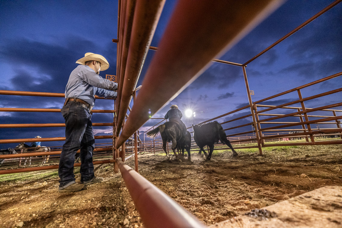 44Farms_Cameron_FallBullSale_Oct2021-524757