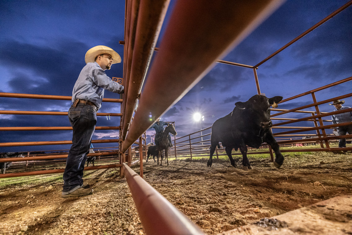 44Farms_Cameron_FallBullSale_Oct2021-524771