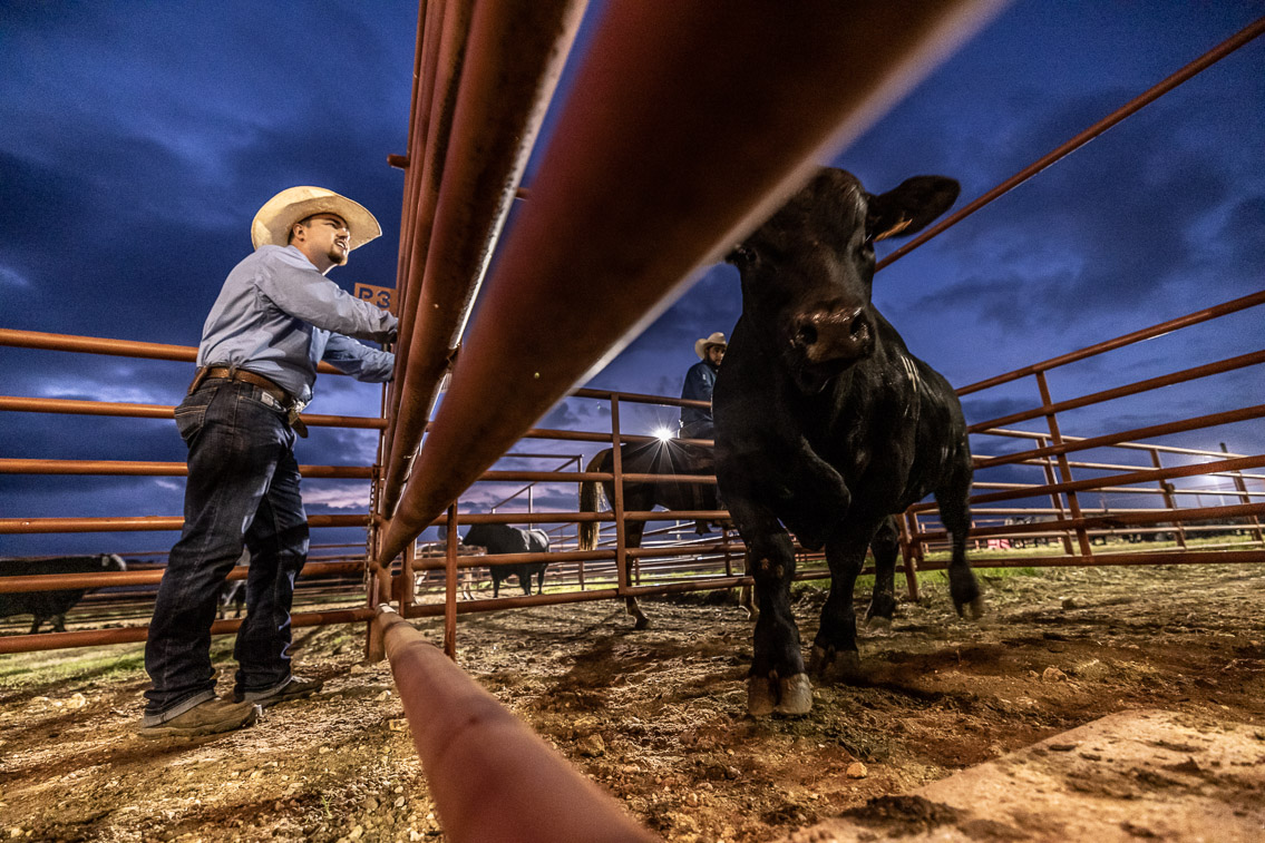 44Farms_Cameron_FallBullSale_Oct2021-524804
