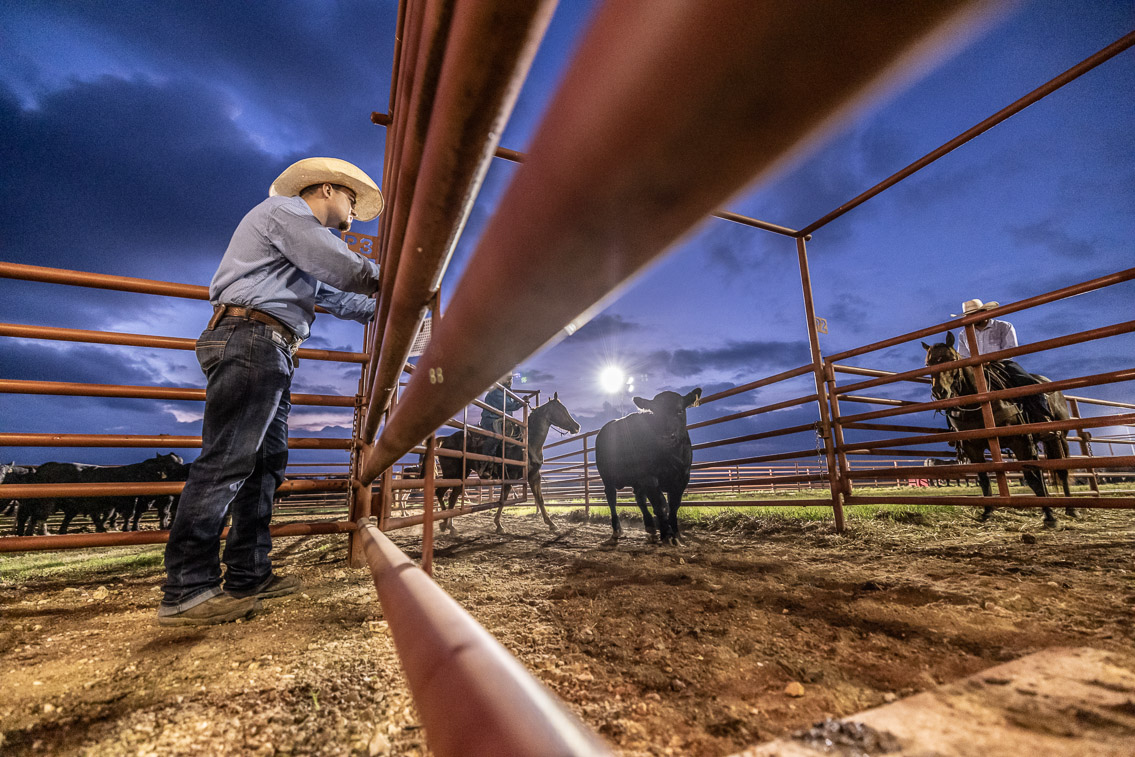 44Farms_Cameron_FallBullSale_Oct2021-524894