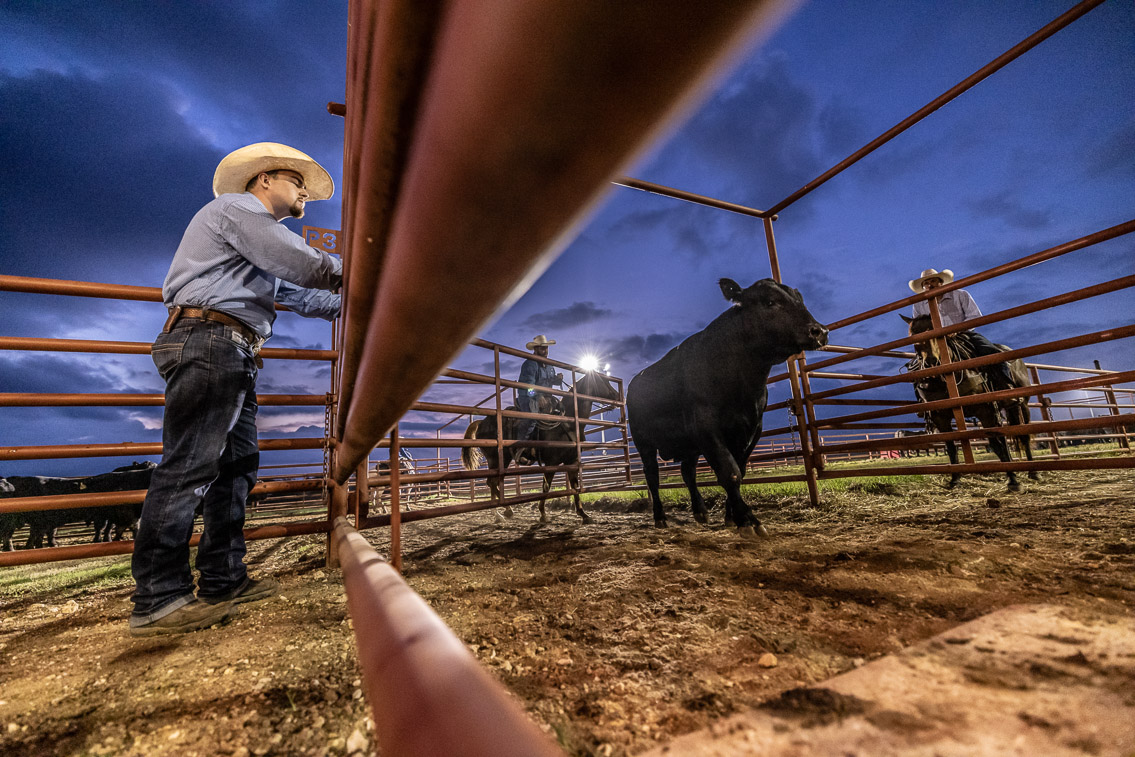44Farms_Cameron_FallBullSale_Oct2021-524897