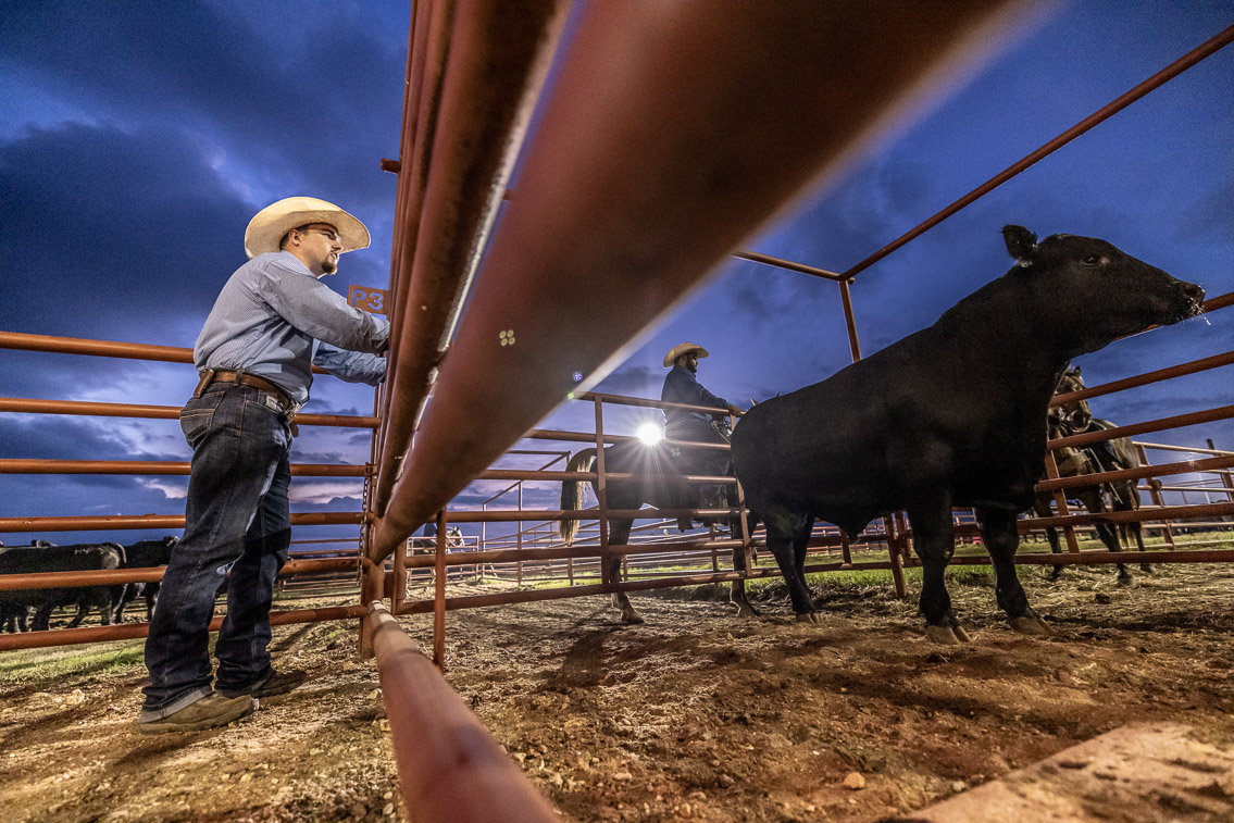 44Farms_Cameron_FallBullSale_Oct2021-524902