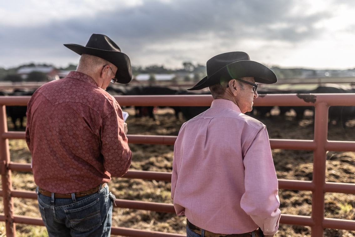 44Farms_Cameron_FallBullSale_Oct2021-525070