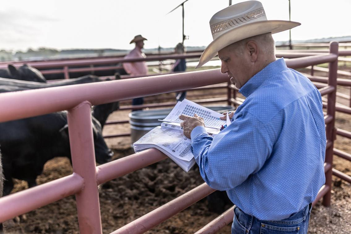 44Farms_Cameron_FallBullSale_Oct2021-525140