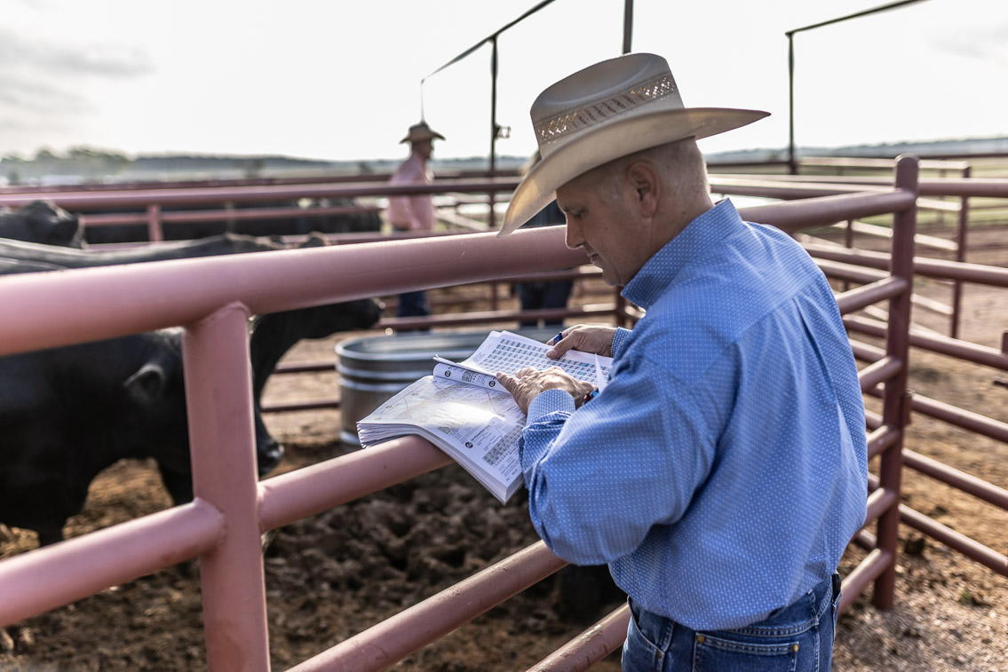 44Farms_Cameron_FallBullSale_Oct2021-525143
