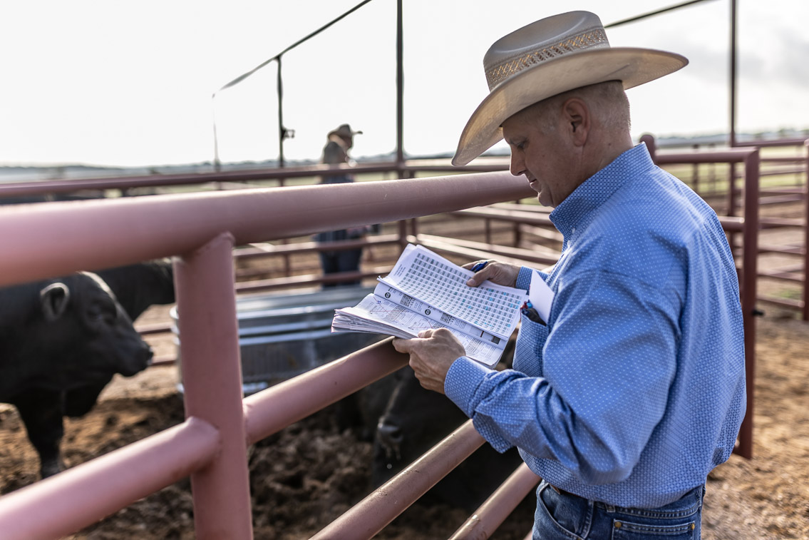 44Farms_Cameron_FallBullSale_Oct2021-525146