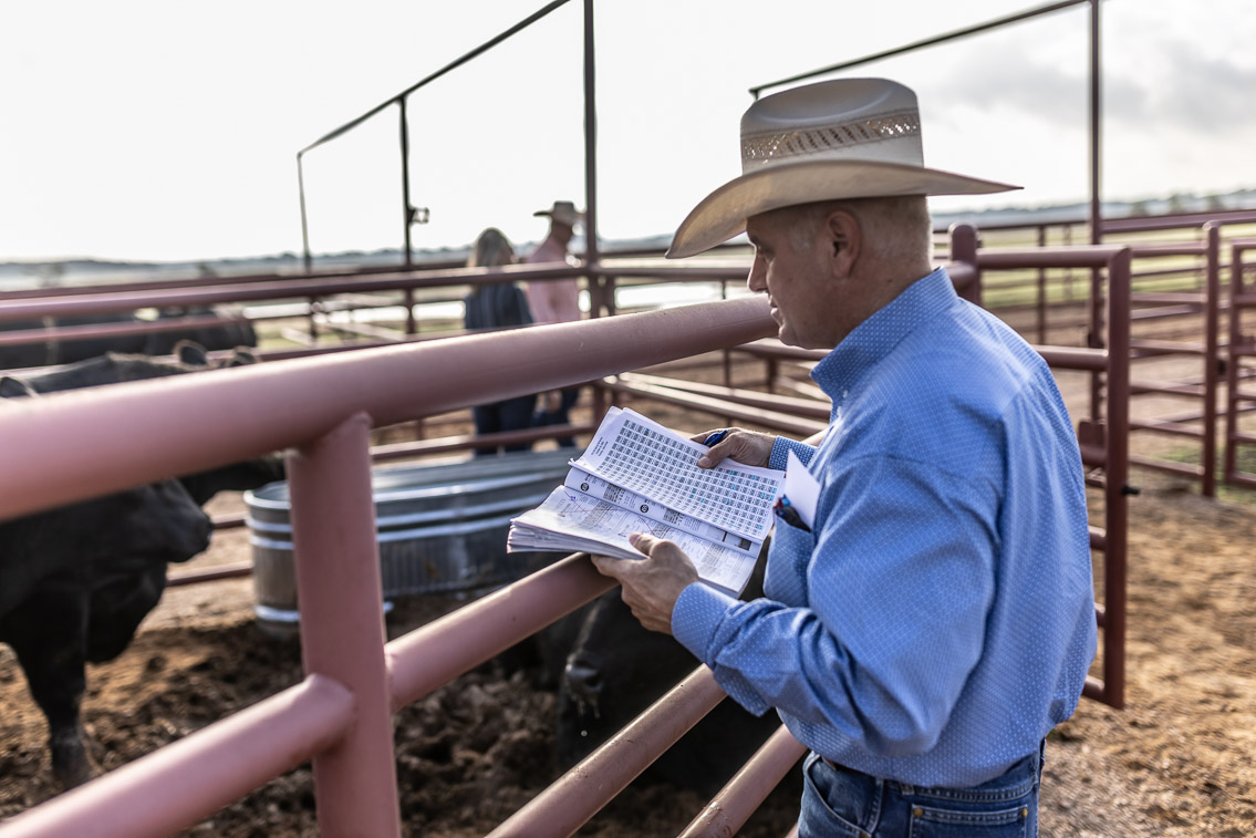 44Farms_Cameron_FallBullSale_Oct2021-525148