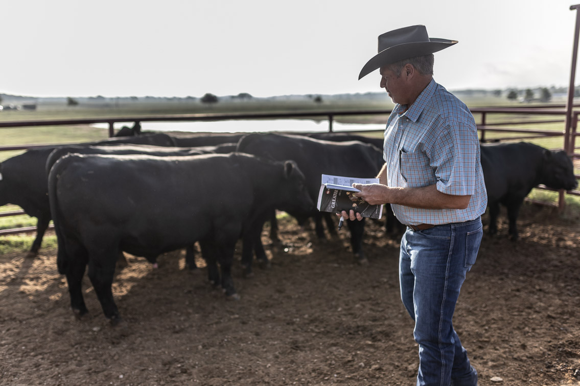 44Farms_Cameron_FallBullSale_Oct2021-525179