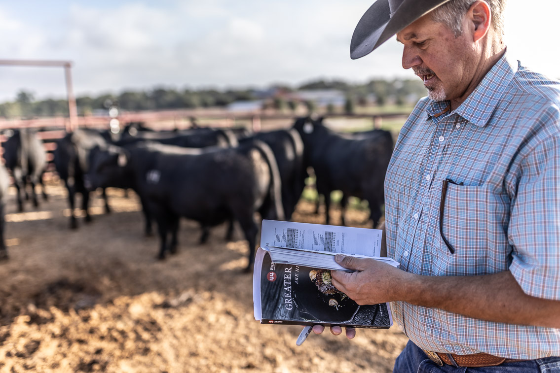 44Farms_Cameron_FallBullSale_Oct2021-525213