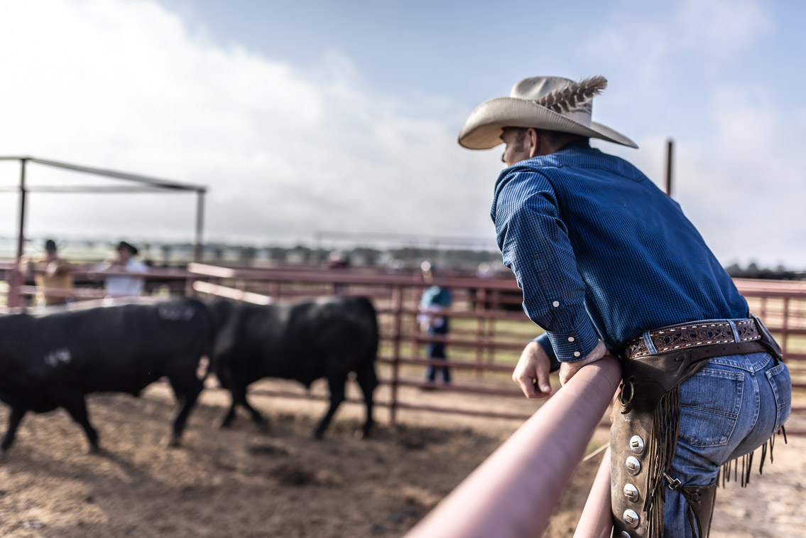 44Farms_Cameron_FallBullSale_Oct2021-525241