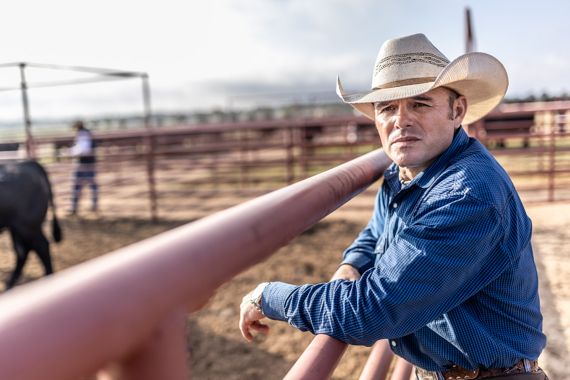 44Farms_Cameron_FallBullSale_Oct2021-525305