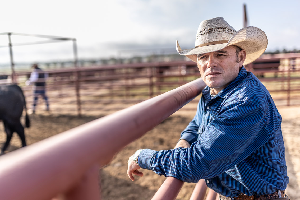 44Farms_Cameron_FallBullSale_Oct2021-525306