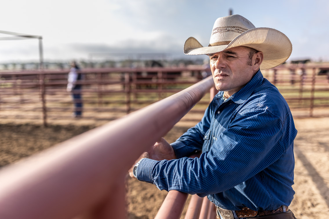 44Farms_Cameron_FallBullSale_Oct2021-525314