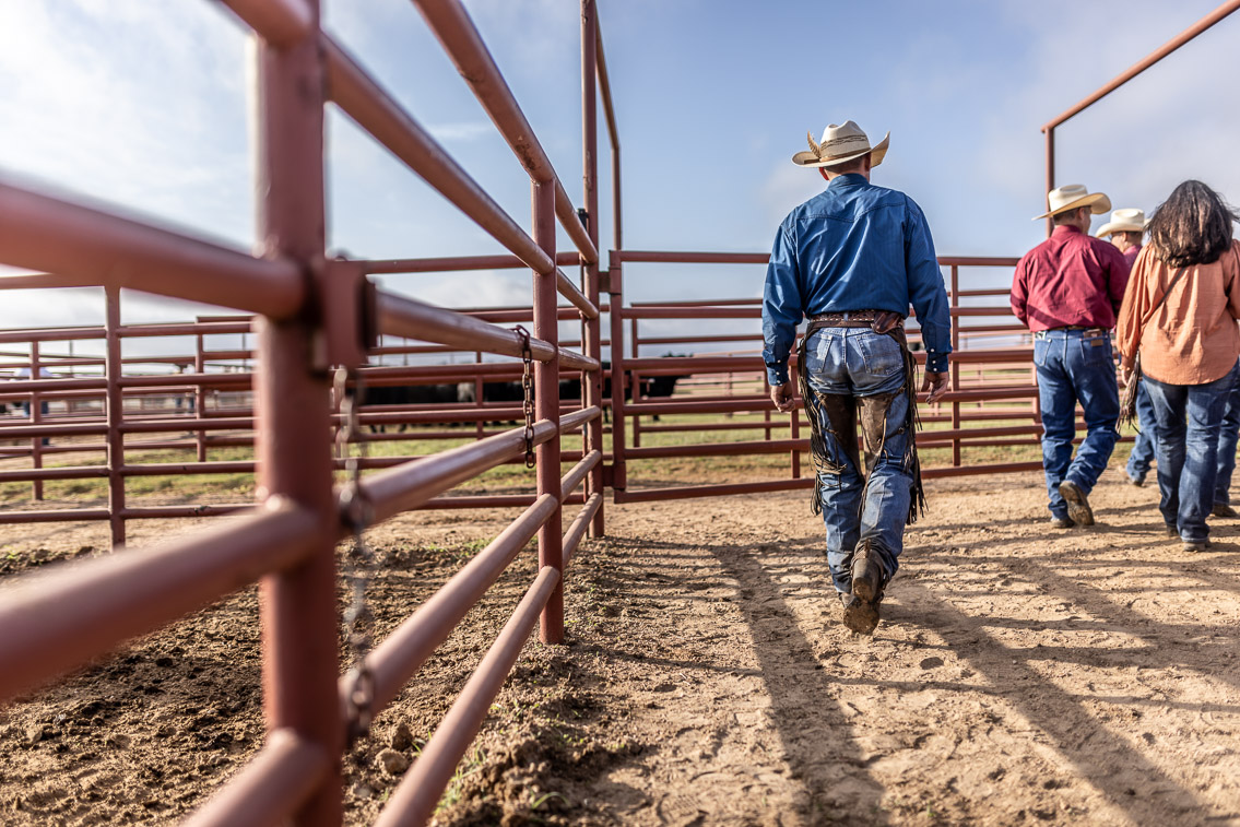 44Farms_Cameron_FallBullSale_Oct2021-525336