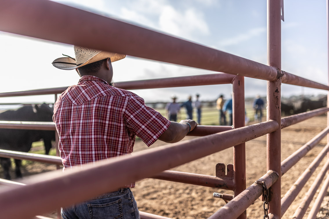 44Farms_Cameron_FallBullSale_Oct2021-525356