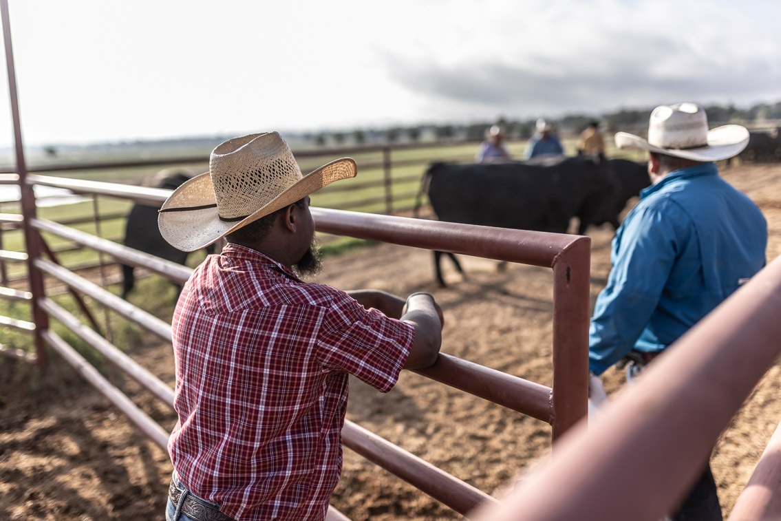44Farms_Cameron_FallBullSale_Oct2021-525368
