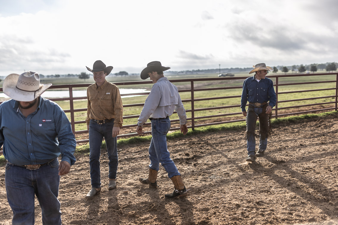 44Farms_Cameron_FallBullSale_Oct2021-525388