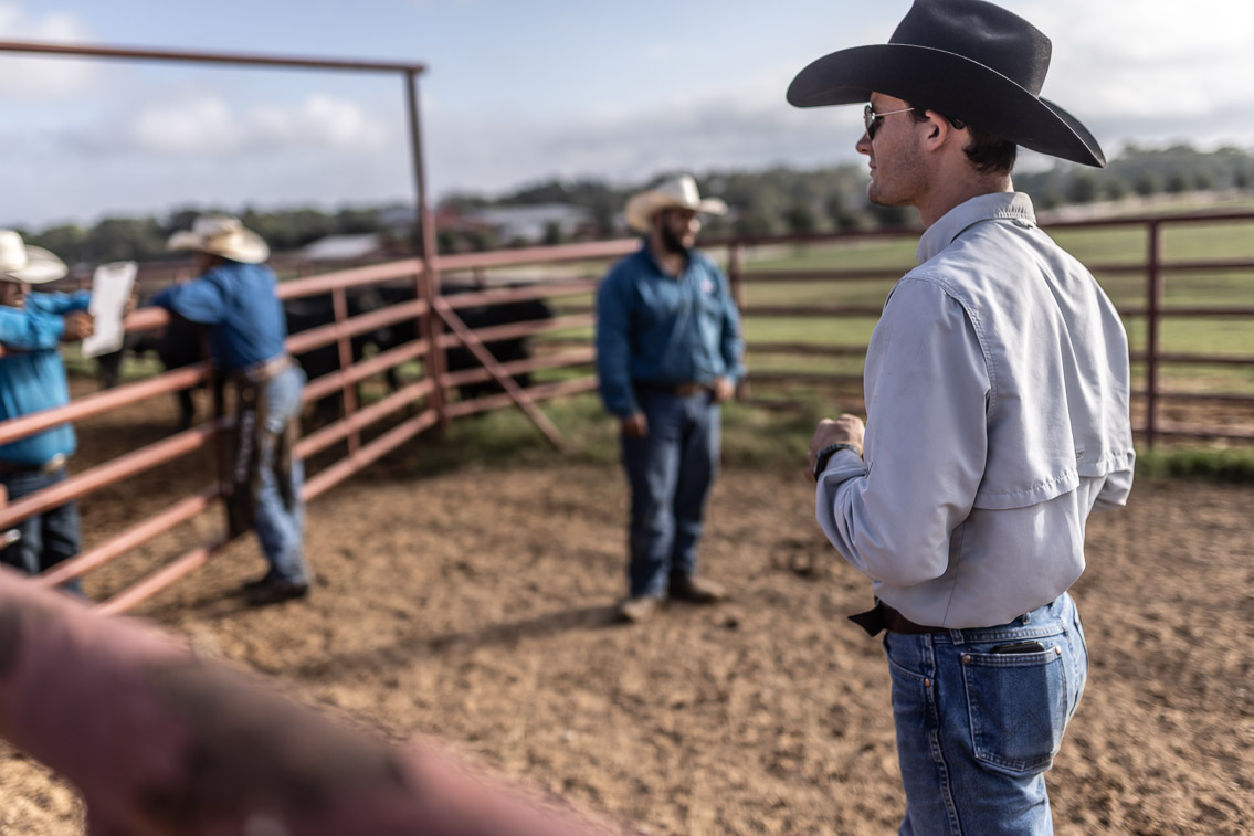 44Farms_Cameron_FallBullSale_Oct2021-525414