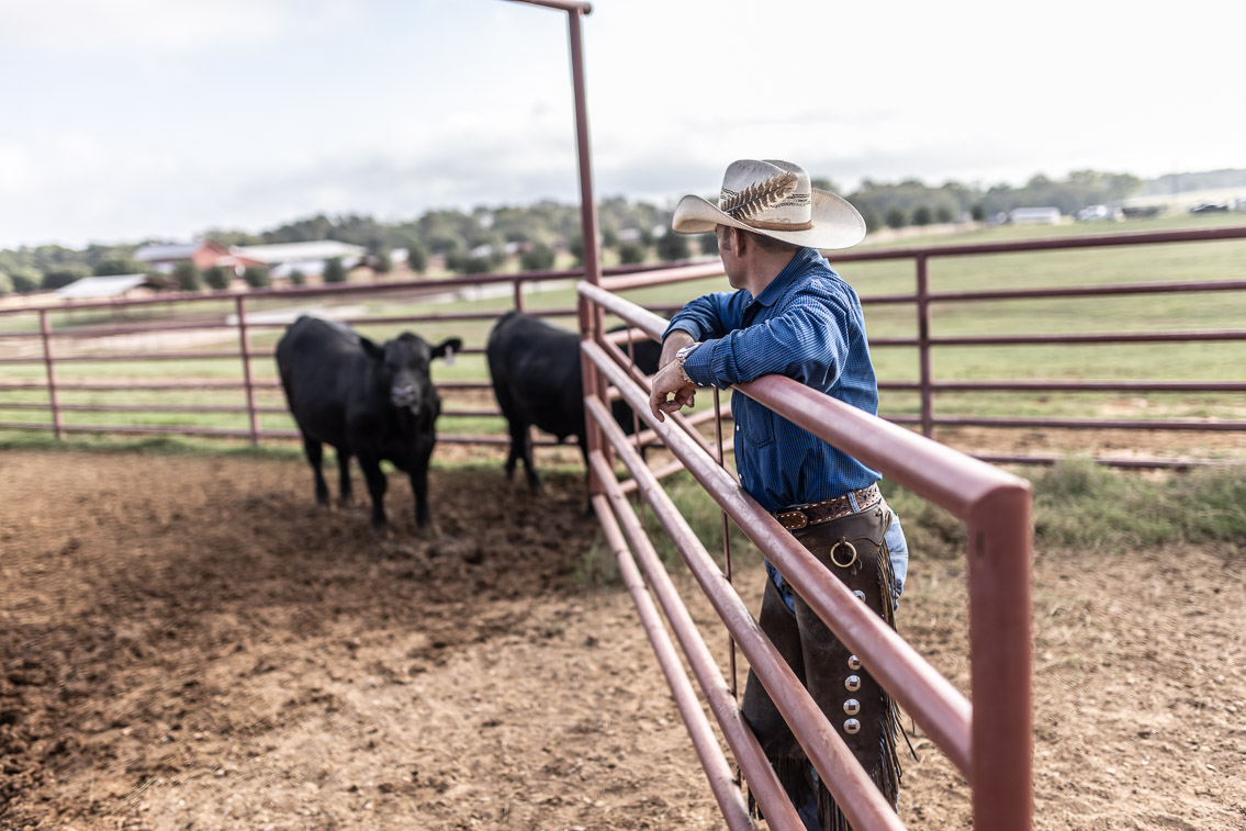 44Farms_Cameron_FallBullSale_Oct2021-525420