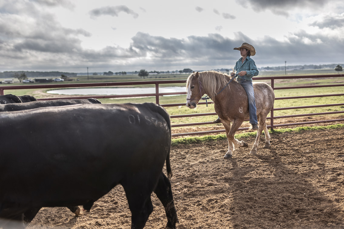 44Farms_Cameron_FallBullSale_Oct2021-525490