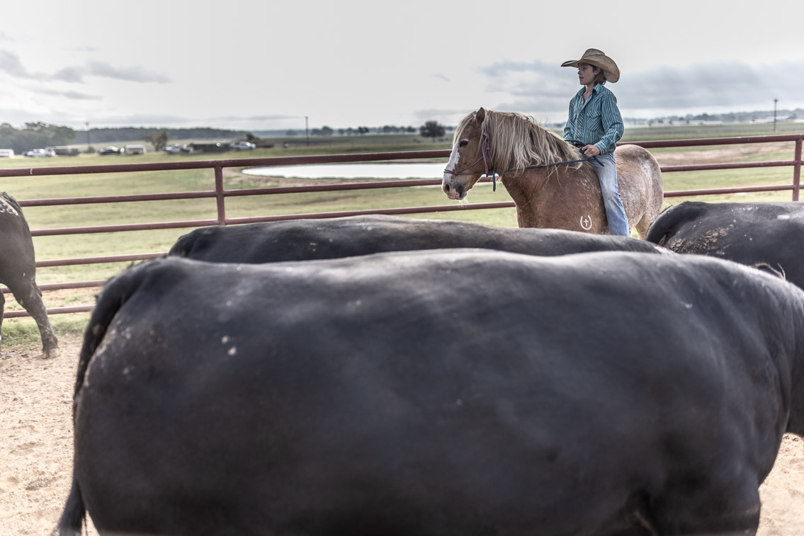 44Farms_Cameron_FallBullSale_Oct2021-525501