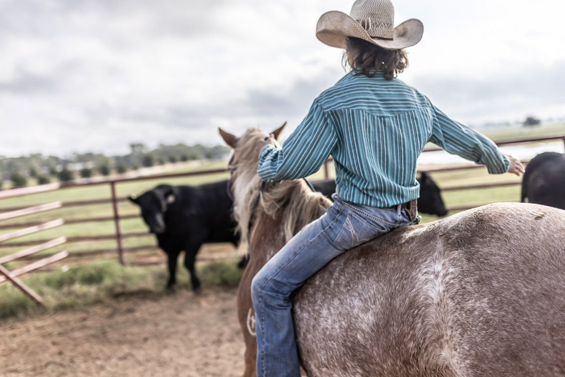 44Farms_Cameron_FallBullSale_Oct2021-525577